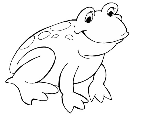 frog coloring page