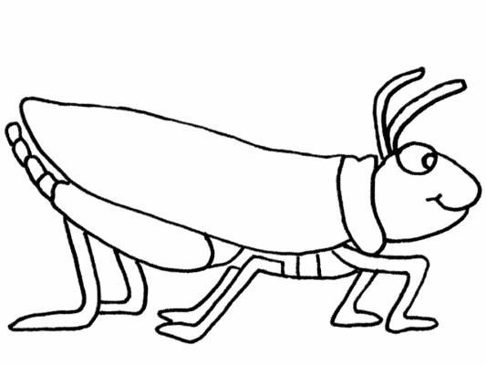 grasshopper coloring page