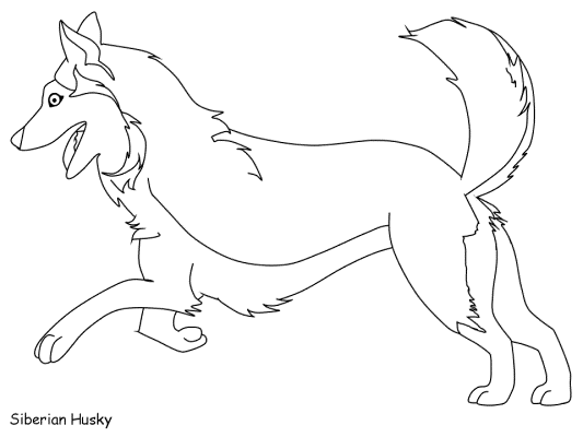 husky coloring book page