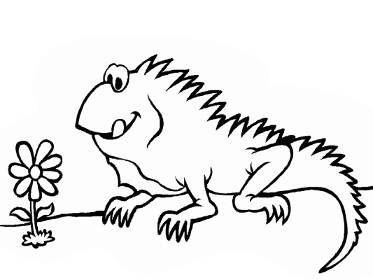 iguana coloring page