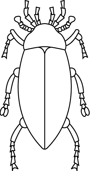 insect coloring page
