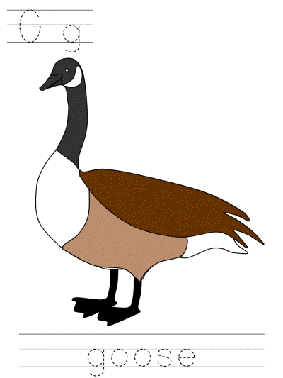 Canada Goose tracer pages