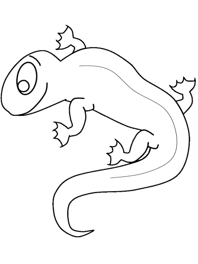 newt coloring page