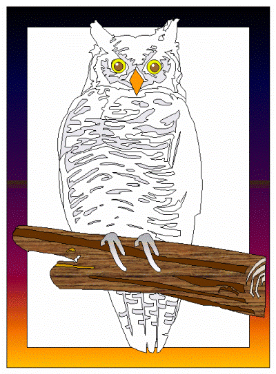 owl poster