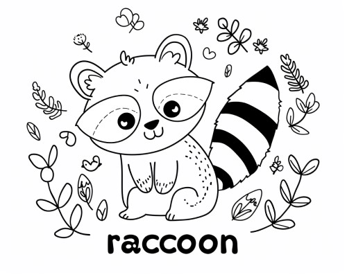 raccoon coloring page