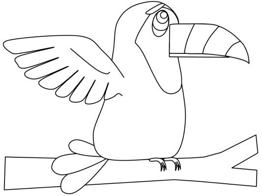 toucan coloring page