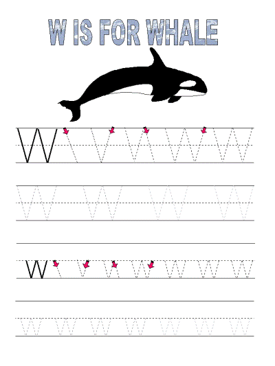 whale tracer page