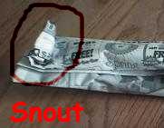 Snout