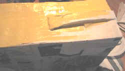 lion craft
