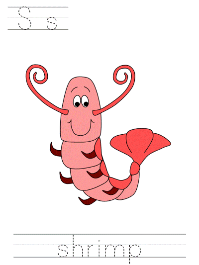 shrimp print practice worksheets