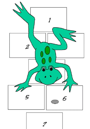 frog riddle