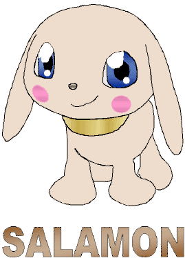 cpostersalamon.gif (55810 bytes)