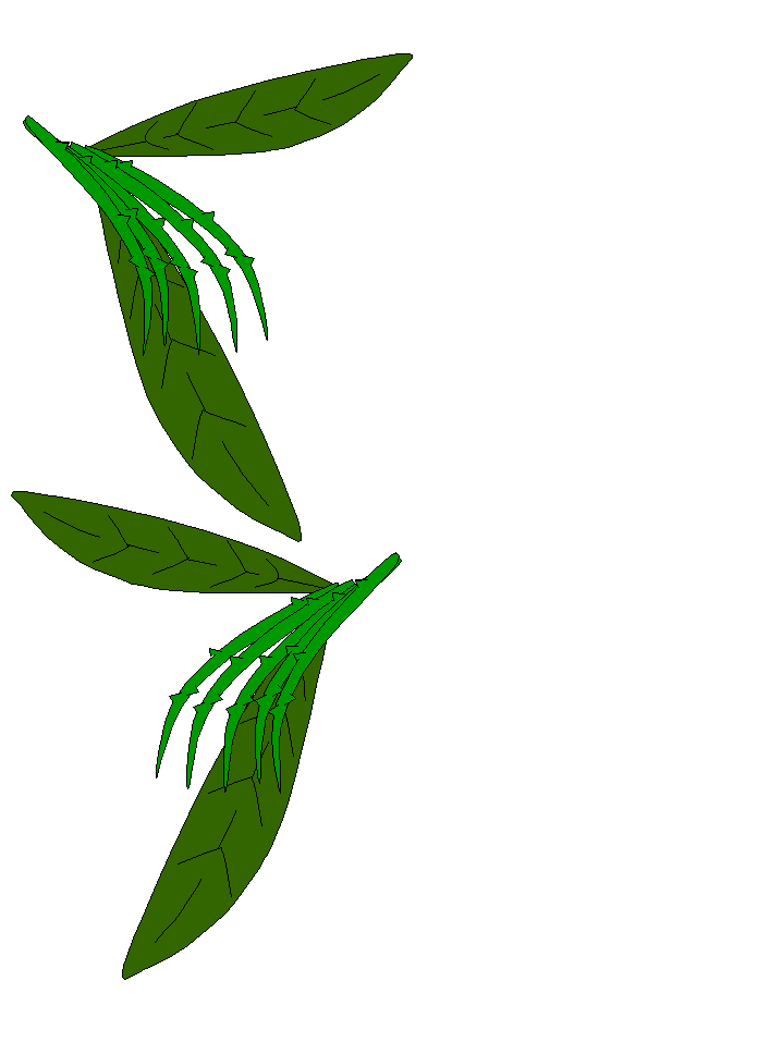 templates
