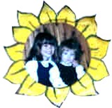 Sunny Sunny Sunflowers