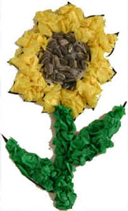 Sunny Sunny Sunflowers