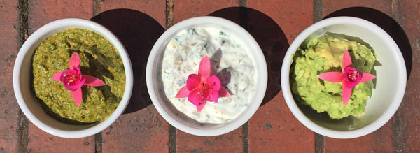 My Favourite Dips