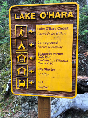 This way to the campground.