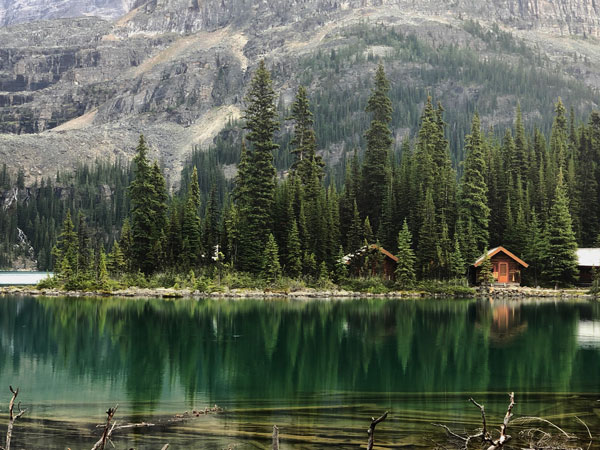 Lakeshore Cabins