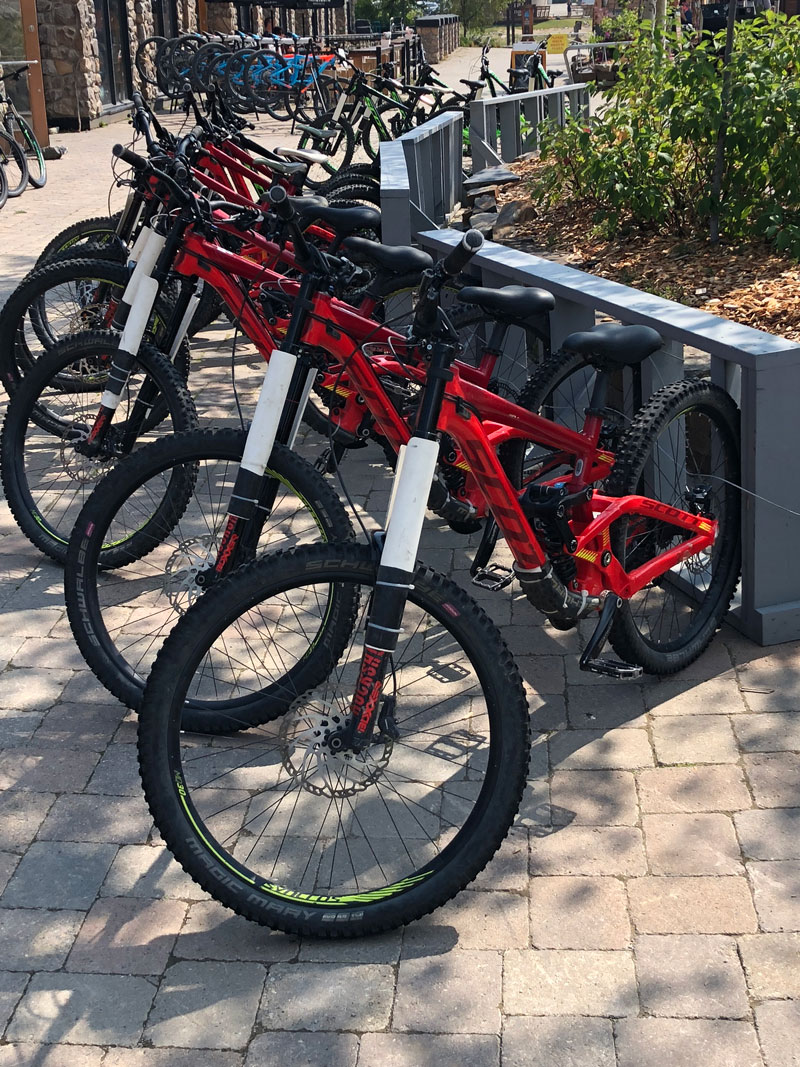 Mountain bikes.