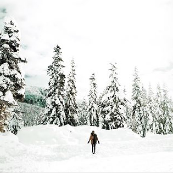 snow in the rockies