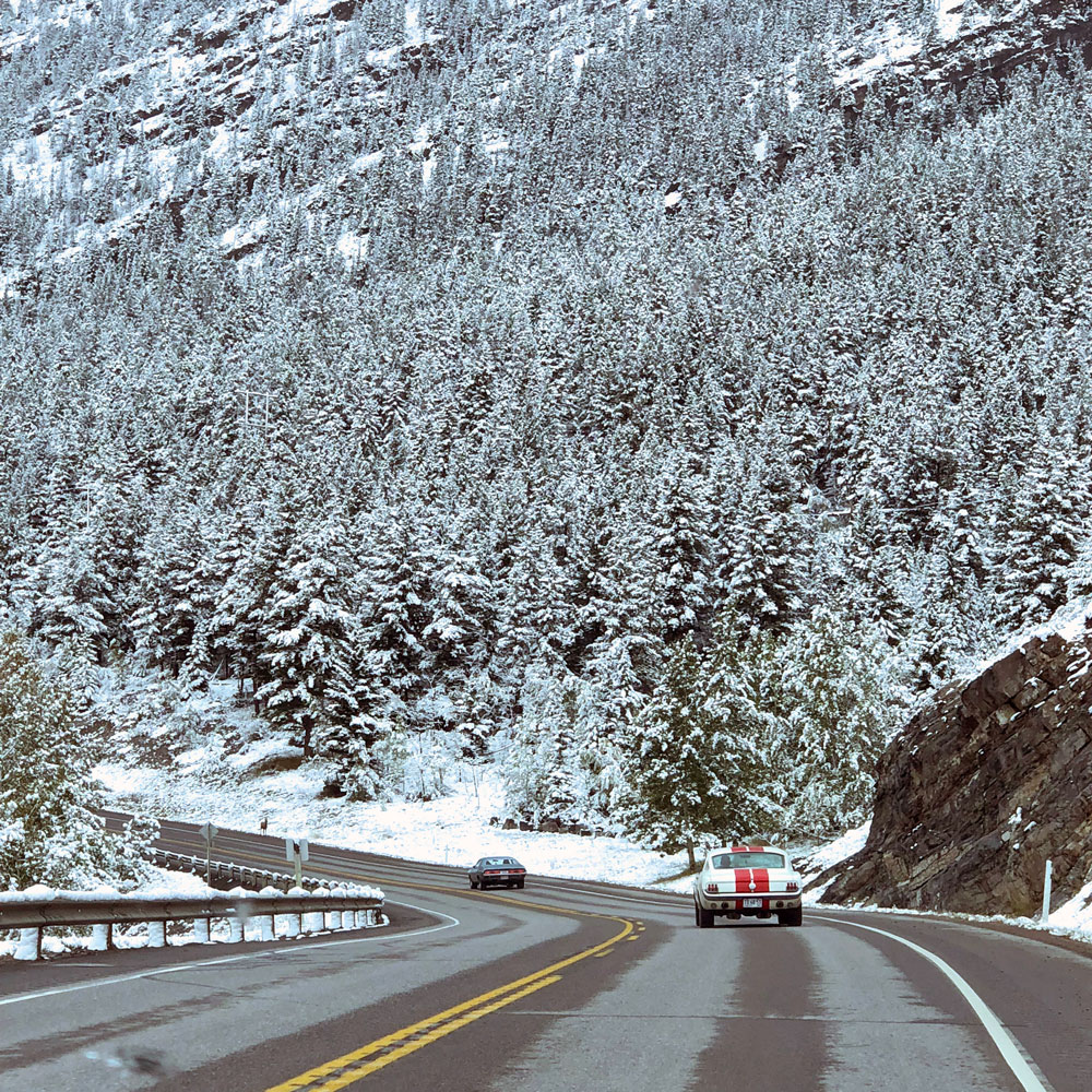 snowy autumn drive