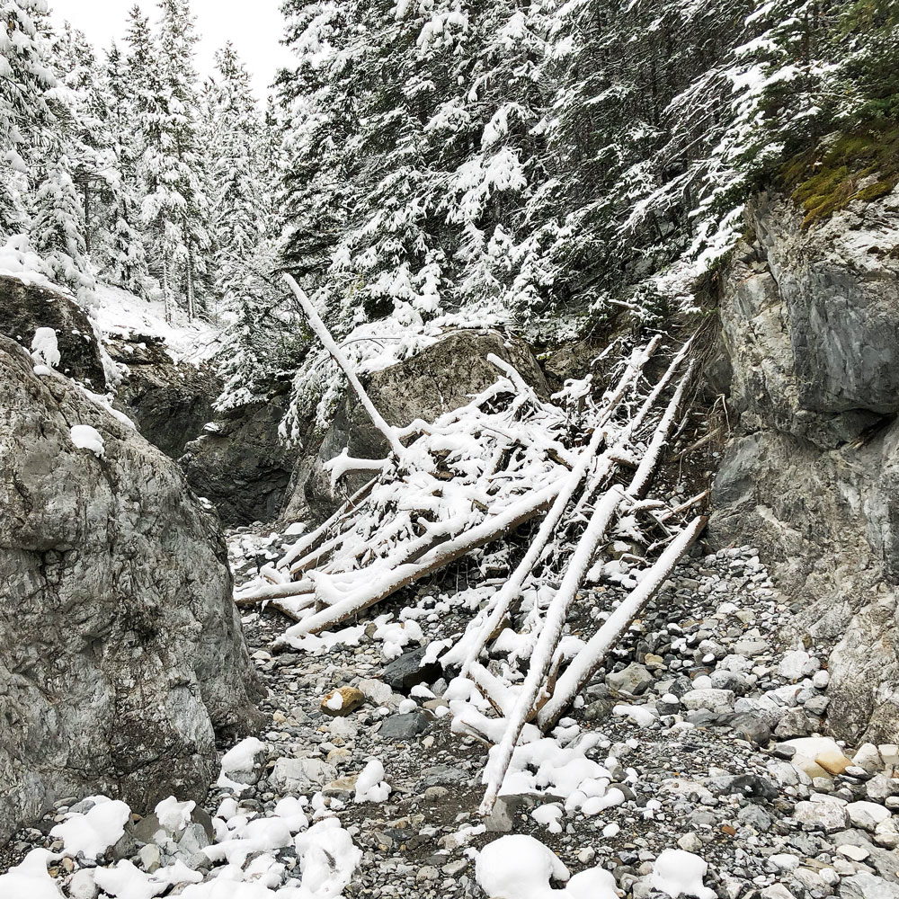 scrambly trail through the canyon