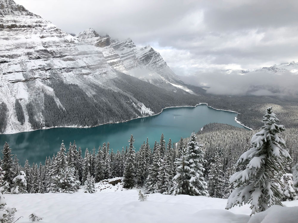 Peyto Lake