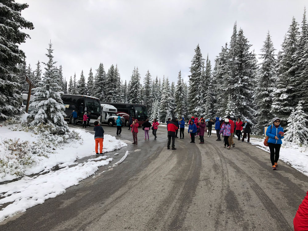Crowds at Peyto Lake