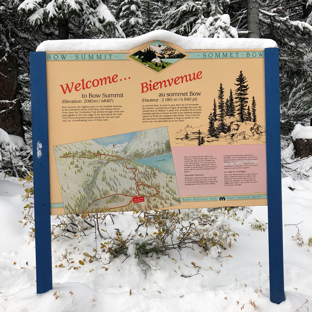 Welcome to Bow Summit