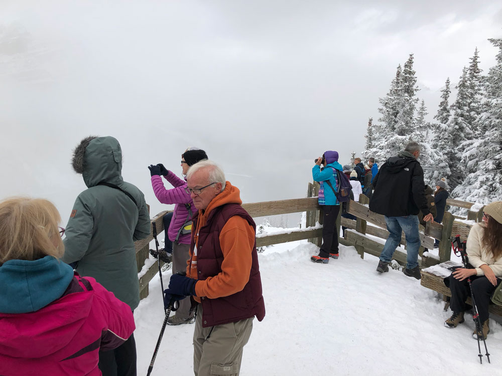 Peyto Lake wooden viewpoint.