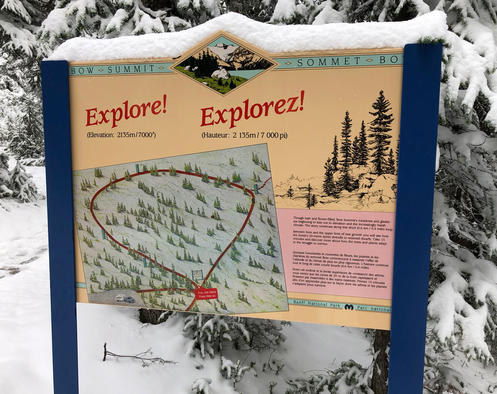 Peyto Lake trail map.