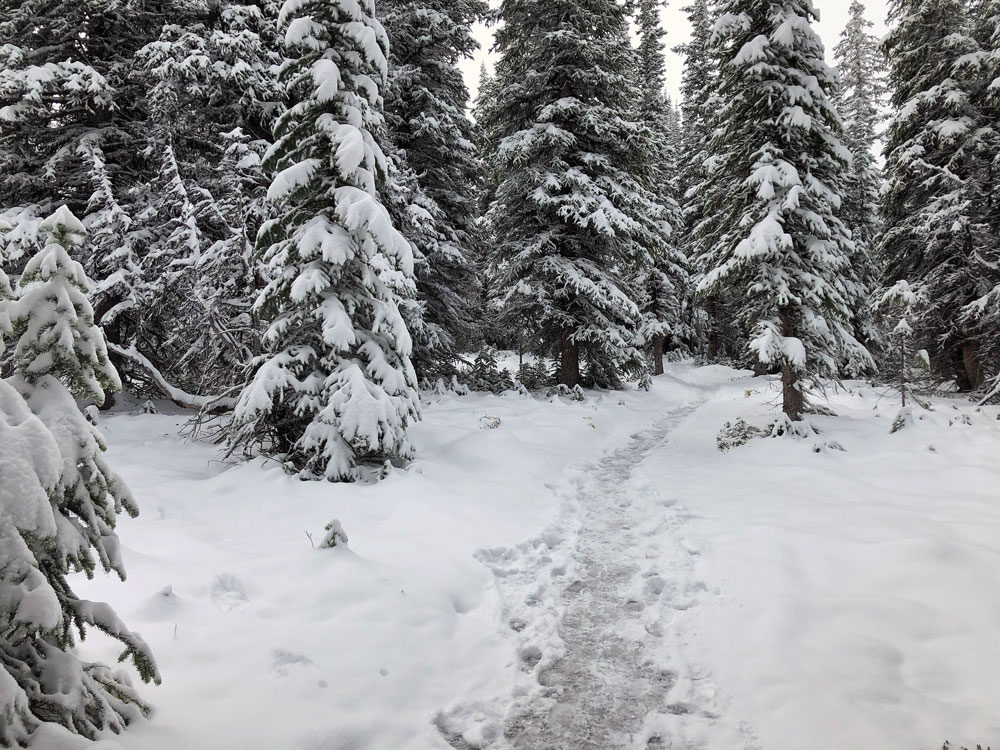 Path to Upper Viewpoint.