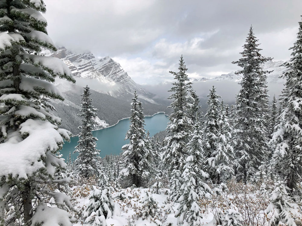 Periodic peeks at Peyto Lake.