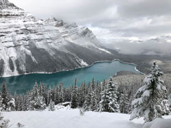 Peyto Lake