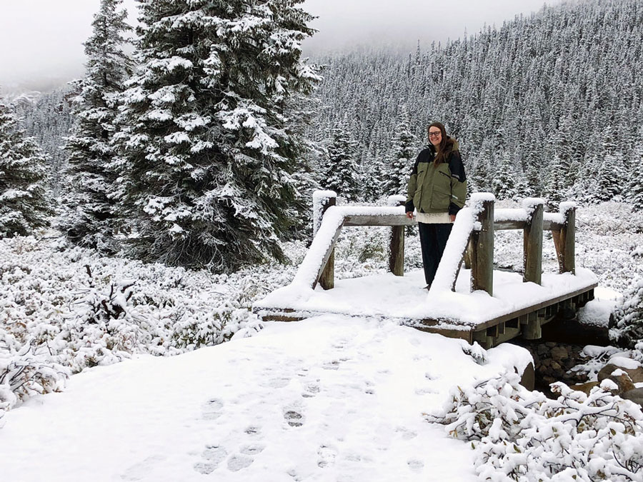 Wooden Bridge