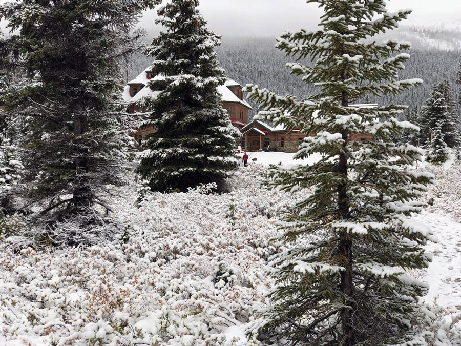 Returning to the Lodge
