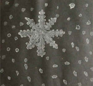 Salt Water Snowflake Art Project