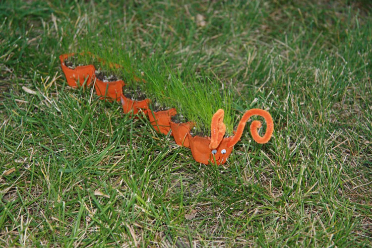 Grass Seed Caterpillar: Camouflage Caterpillar