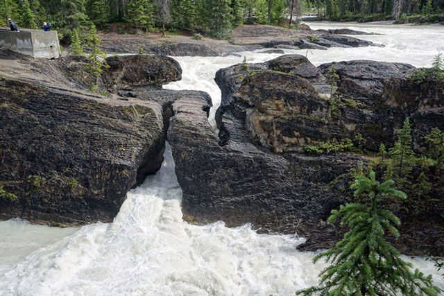 Kicking Horse to Amiskwi Trail