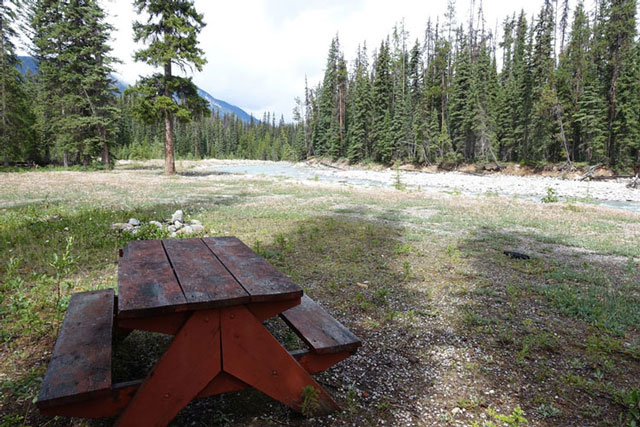 Kicking Horse to Amiskwi Trail