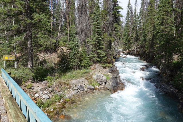 Kicking Horse to Amiskwi Trail