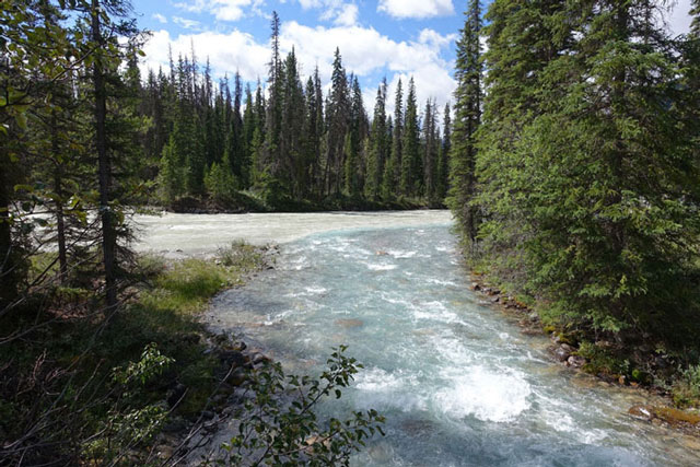 Kicking Horse to Amiskwi Trail