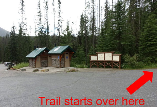 Kicking Horse to Amiskwi Trail
