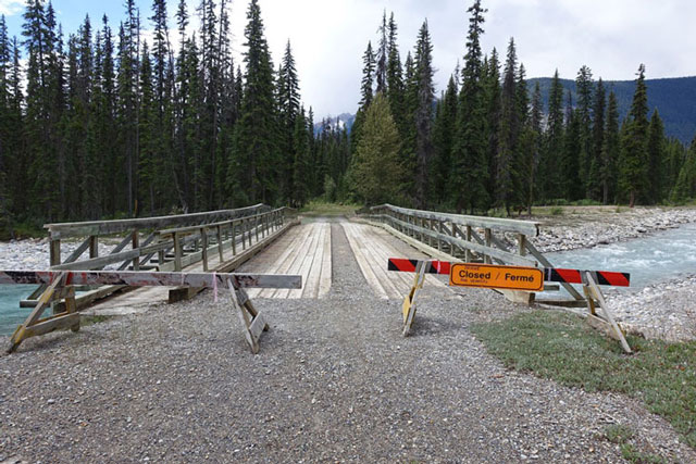 Kicking Horse to Amiskwi Trail