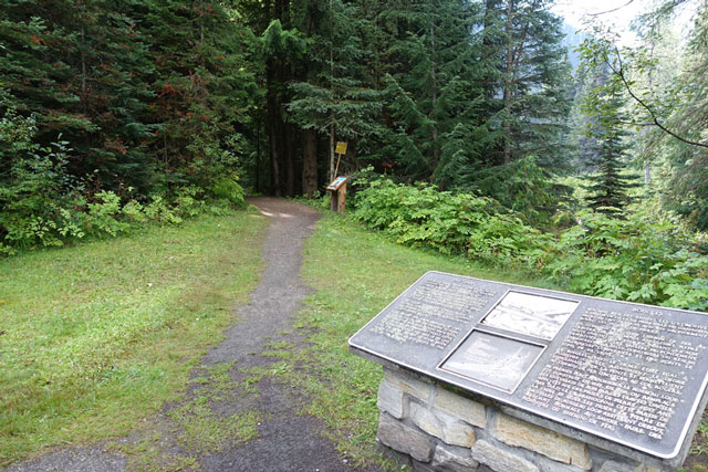 Loop Brook Trail