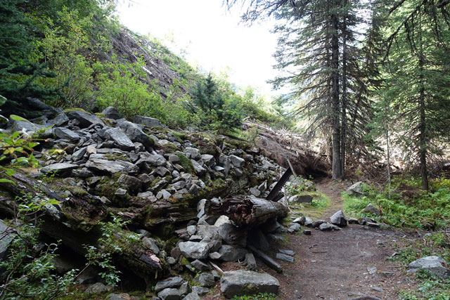 Loop Brook Trail