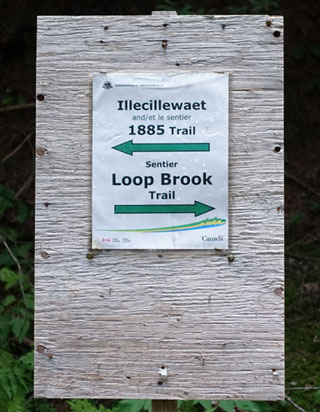Loop Brook Trail