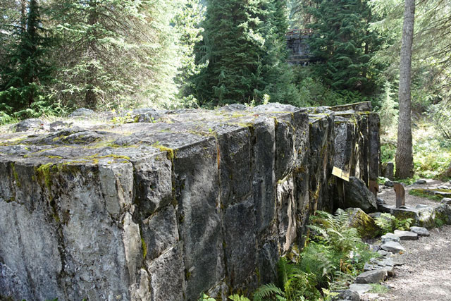 Loop Brook Trail
