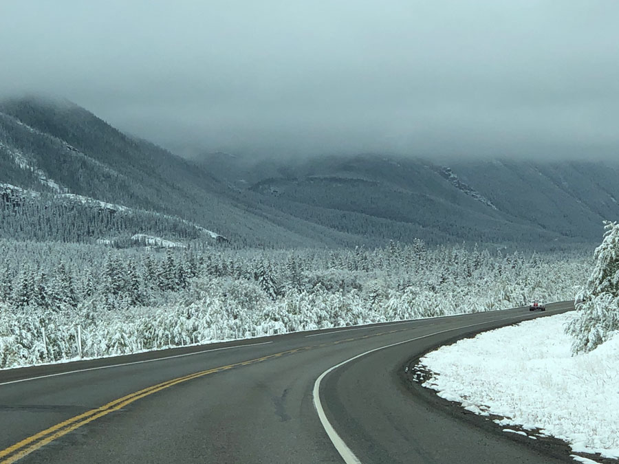 A snowy autumn landscape.