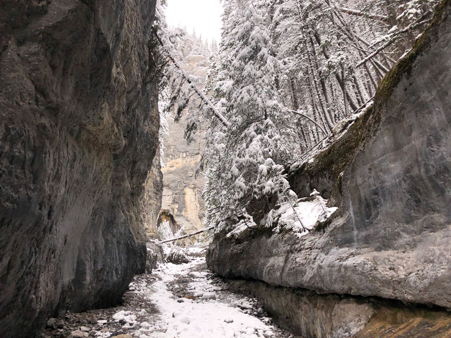 Grotto Canyon Trail
